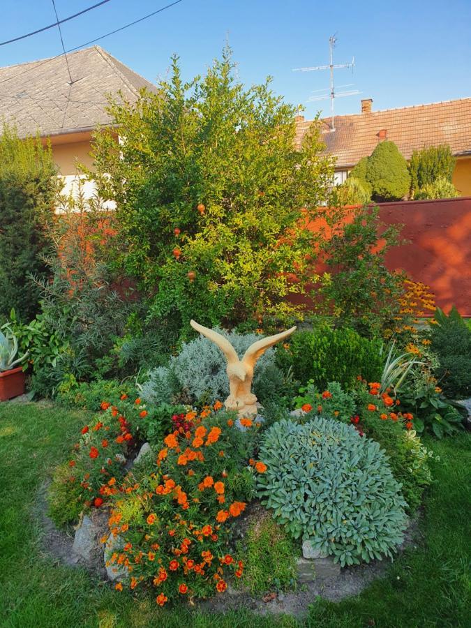 Privat U Jozefa Foeldesa Velky Meder Exterior foto